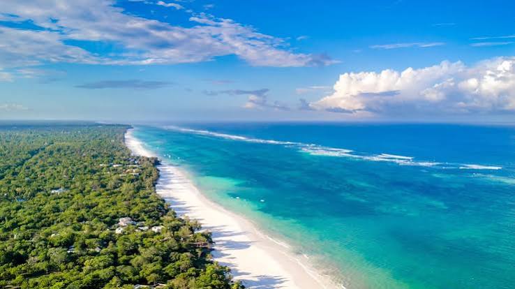 Kenya Safari and Beach Escape Diani