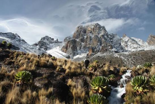 Mount Kenya Adventure