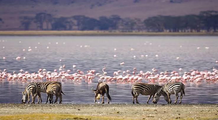 6-Day Kenya Wildlife Adventure